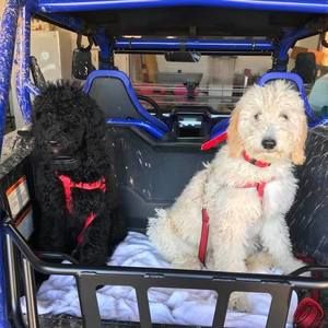 Meet your Posher, Lisa